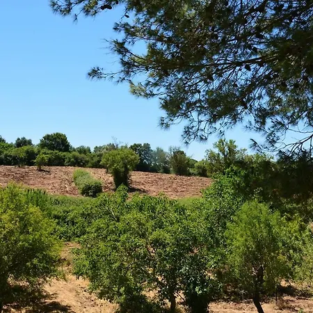 Trullo Alfredo Semesterbostad Ostuni