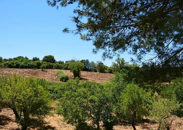 Trullo Alfredo בית נופש אוסטוני